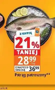 E.Leclerc Pstrąg patroszony oferta