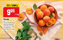 Polomarket Morele oferta