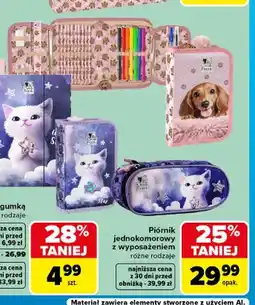 Carrefour Piórnik jednokomorowy z wyposażeniem oferta