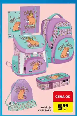 Carrefour Kolekcja Capybara oferta