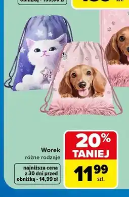Carrefour Worek oferta