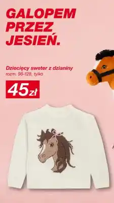 KiK Dziecięcy sweter z dzianiny oferta