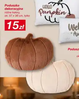KiK Poduszka dekoracyjna 57x38 cm oferta