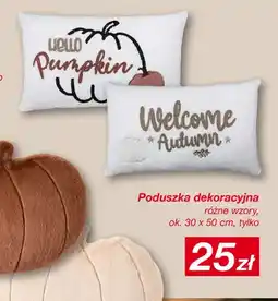 KiK Poduszka dekoracyjna 30x50 cm oferta