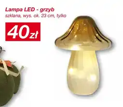 KiK Lampa LED grzyb oferta