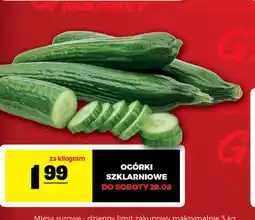 Gram Market Ogórki szklarniowe oferta