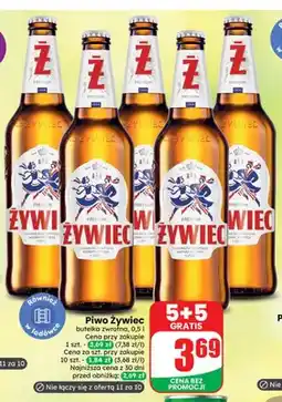 Dino Piwo Żywiec oferta