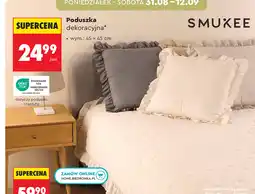 Biedronka Poduszka dekoracyjna Smukee oferta