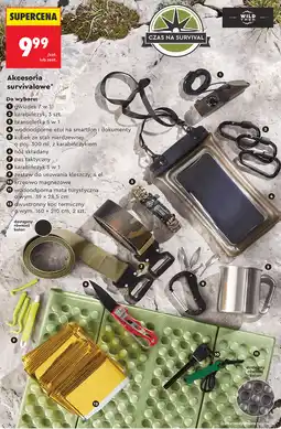 Biedronka Wild Trek Akcesoria survivalowe oferta