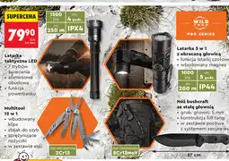 Biedronka Latarka taktyczna LED lub Multitool 12 w 1 Wild Trek Pro Series oferta