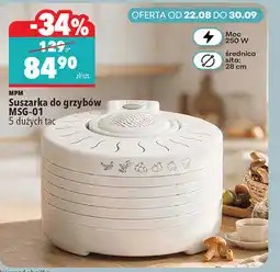 Biedronka Suszarka do grzybów MSG-01 MPM oferta