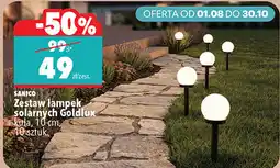 Biedronka SANICO Zestaw lampek solarnych Goldlux oferta
