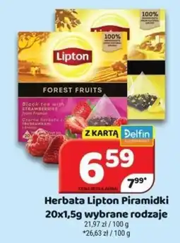 Delfin Herbata Lipton Piramidki oferta