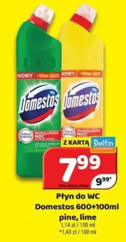 Delfin Płyn do WC Domestos oferta
