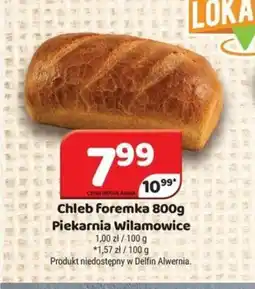 Delfin Chleb foremka oferta