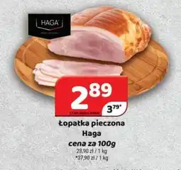 Delfin łopatka pieczona Haga oferta