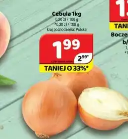 Delfin Cebula oferta