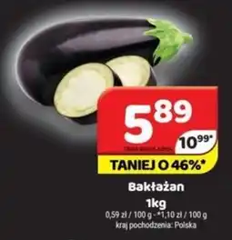 Delfin Bakłażan oferta