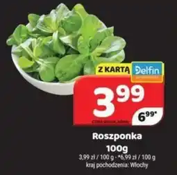 Delfin Roszponka oferta