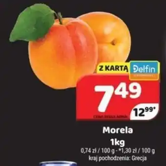 Delfin Morela oferta