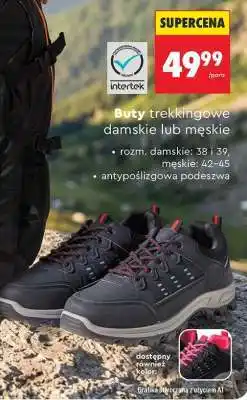 Biedronka Buty trekkingowe damskie lub męskie oferta