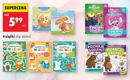 Biedronka Książki dla dzieci oferta