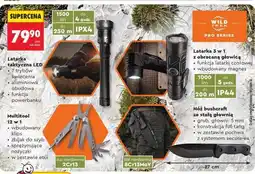 Biedronka Latarka taktyczna LED oferta