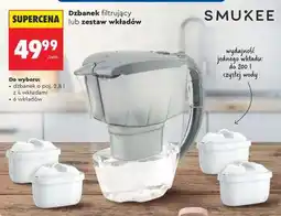 Biedronka Dzbanek filtrujący lub zestaw wkładów oferta