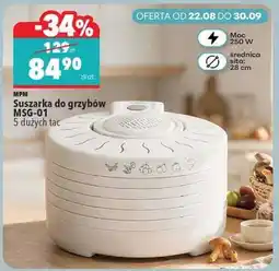 Biedronka Suszarka do grzybów MSG-01 oferta