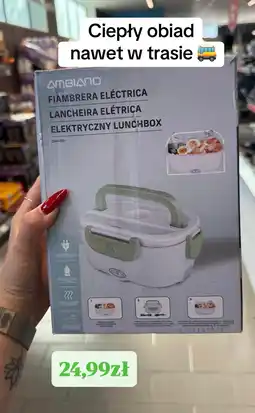 ALDI Ambiano Elektryczny Lunchbox DFH-001 oferta