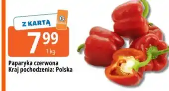 Papryka czerwona