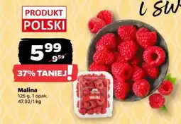 Netto Malina oferta