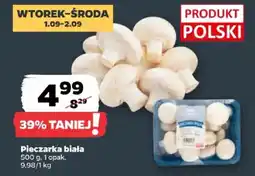 Netto Pieczarka biała oferta