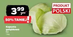 Netto Kapusta gołąbkowa luz oferta