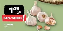 Netto Czosnek oferta