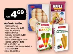 Netto Wafle do lodów rozki waflowe Capri Magnolia oferta