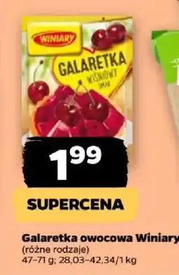 Netto Galaretka owocowa Winiary oferta