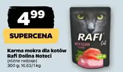 Netto Karma mokra dla kotów Rafi Dolina Noteci oferta