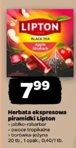 Netto Herbata ekspresowa piramidki Lipton jablko-rabarbar oferta