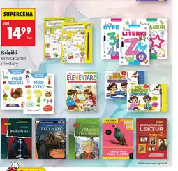 Biedronka Książka Słodziaki oferta