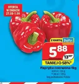Delfin Papryka czerwona oferta