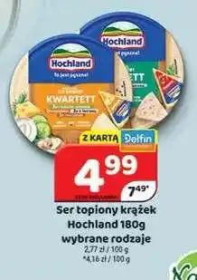 Delfin Ser topiony krążek Hochland oferta