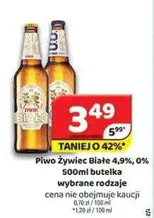 Delfin Piwo Żywiec Białe 4,9% oferta
