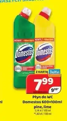Delfin Płyn do WC Domestos Lime oferta