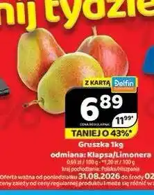 Delfin Gruszki Klapsa oferta