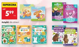 Biedronka Książka Dorastam z króliczkiem Czas na kąpiel! oferta