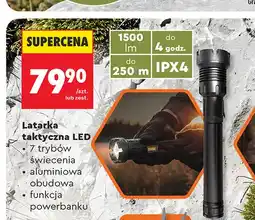 Biedronka Latarka taktyczna LED Wild Trek oferta