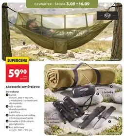 Biedronka Hamak z moskitierą Wild Trek oferta