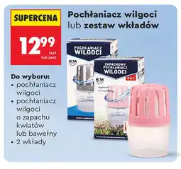 Biedronka Pochłaniacz wilgoci K & M oferta