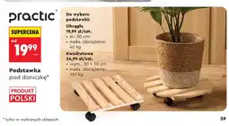 Biedronka Podstawka pod doniczkę okrągła Practic oferta